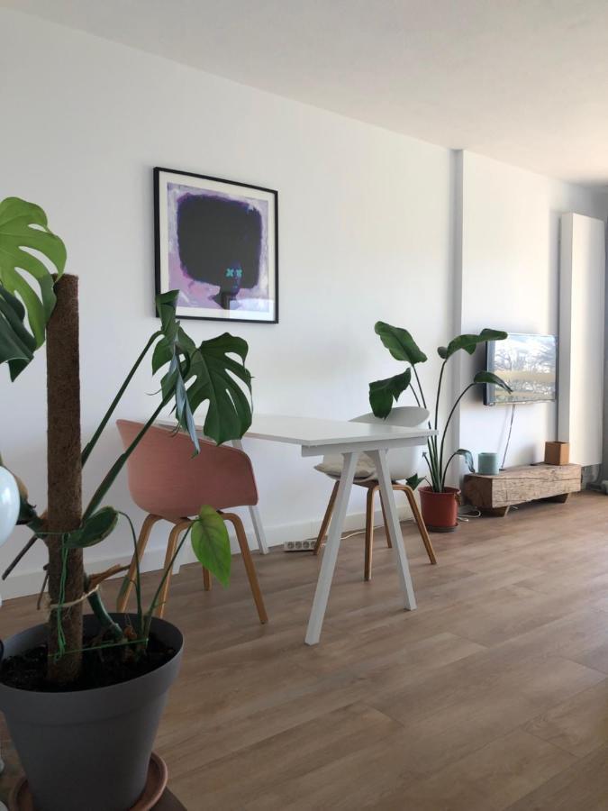 Appartement Biarritz Sud מראה חיצוני תמונה